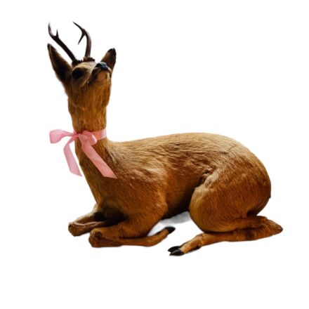 Stuffed reclining roe deer