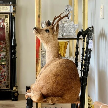 Stuffed reclining roe deer