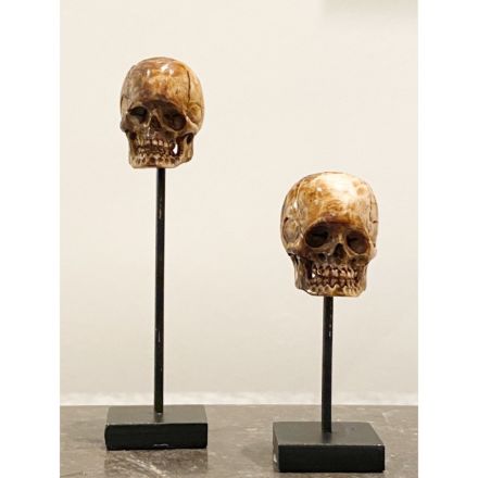 Vanitas skulls in Yak bone